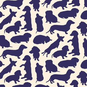 Dachshund...