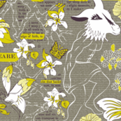 A Study of Shakespeare's Summer Dream