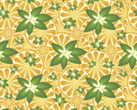 Rcitrus_png_thumb