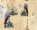 Reiffel_postcards_birds_thumb