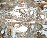 Rmarbled_bayou2_5519_thumb