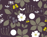 Rrmidsummer-nights-dream-botanical_thumb