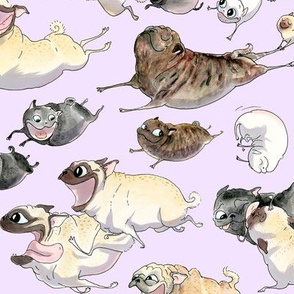 4" pugs on the run - lavender