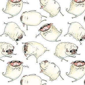 2" Funny Dancing Pugs