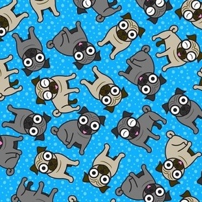 Pug-a-Dot (Blue)