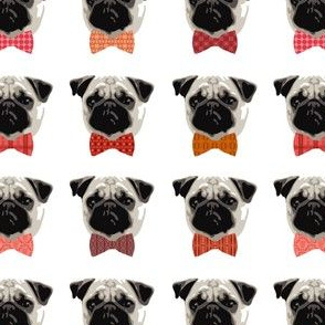 Proud Pug Boys - Small Scale (Client Requested)