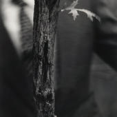 Suit-tree-leaf2-2