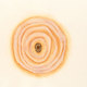 Growth-2001-0