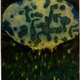 Terra-infirma