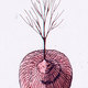 Rooted-2002