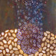 Multiplicity-2002