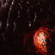 Subliminal-sense-detail