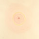 Milkhole-2001