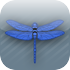 Dragonfly Capital Views