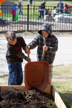 Sustainability Academy Schoolyard Transformation Project