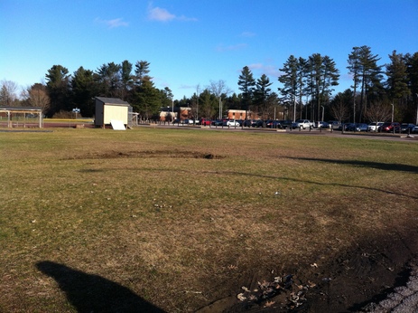 Essex Town Community Garden