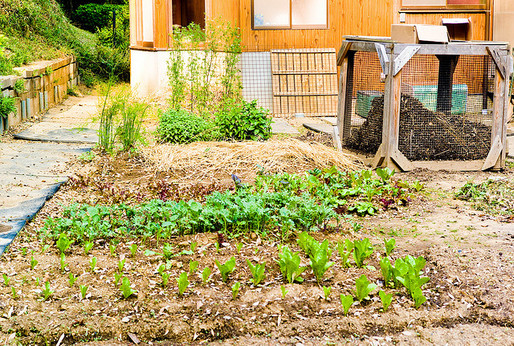 Gardenjoi