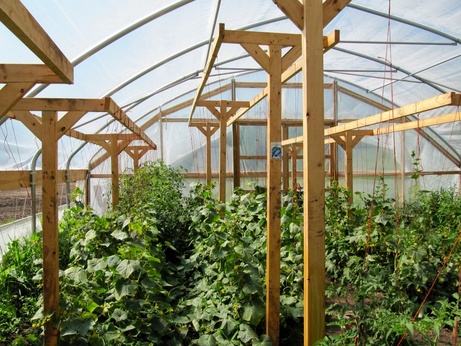 Hoophouse