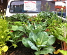 Truckfarmbed