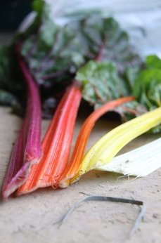 Chard