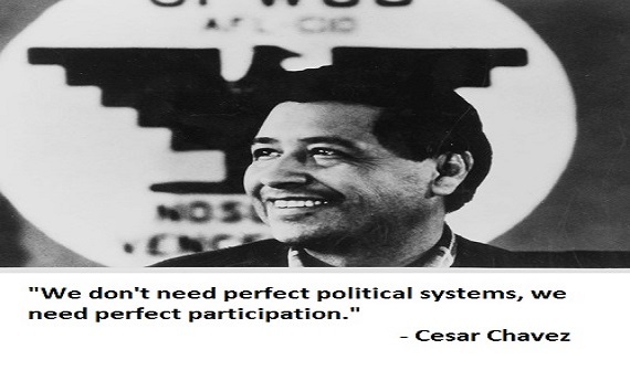 Operation Direct Democracy