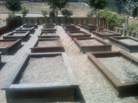Img00038-20120622-1142