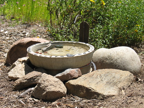 Sdaudubon.birdbath