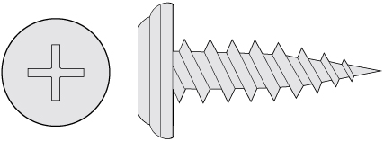 Wafer Sharp Point Screw