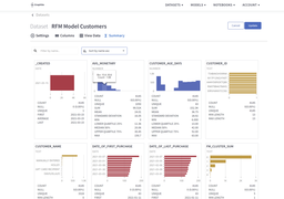 Graphite_may_21_dataset_summary_screenshot