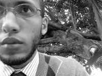 Luiz Guilherme Silva Junior - Web Developer