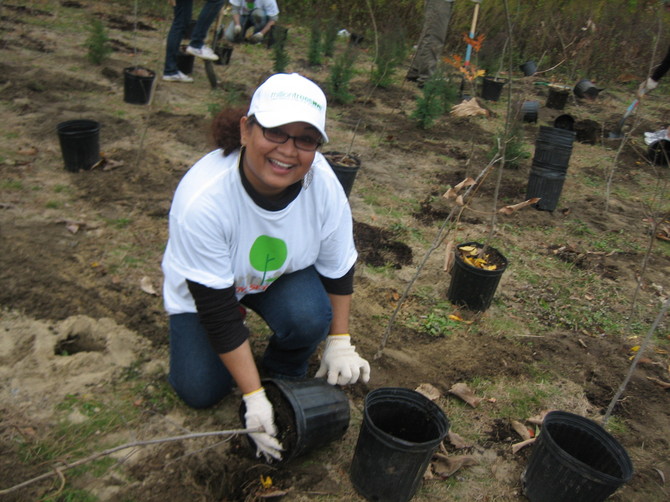 Tree Planting in Far Rockaway