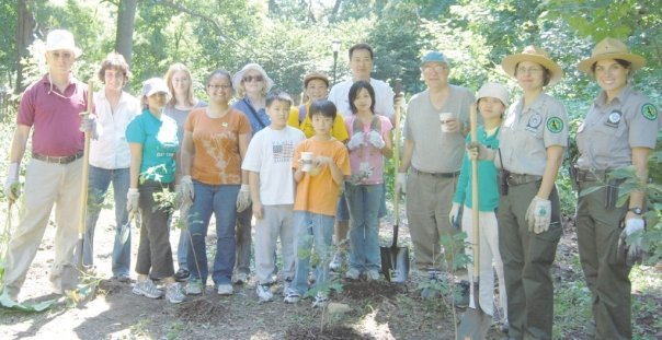 Tree Stewarding in Forest Park