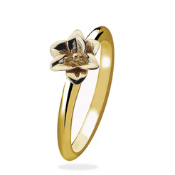 Rings - Gold