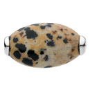 Dalmation