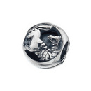 Capricorn