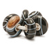 
Striped Onyx Kit