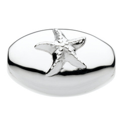 image of Star Fish (large)