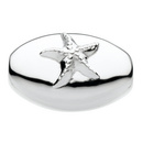 Star Fish (large)