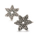 Snow Flower