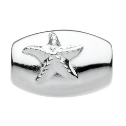 image of Star Fish (small)
