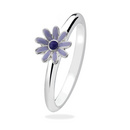 Purple Daisy
