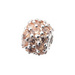 Champagne Glitterball