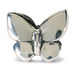 Fantasy Butterfly