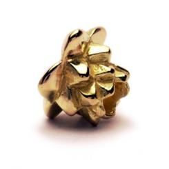 image of Lotus Flower