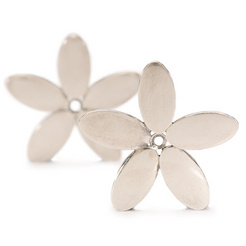 image of Wood Anemone