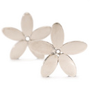 Wood Anemone