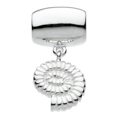 image of Mini Shell