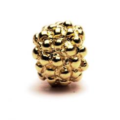 image of Berry