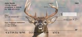 Big Horned Buck Checks