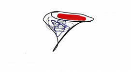 life is a vortex. control it before it controls you